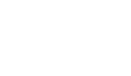 2way audio